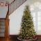 9ft. Pre-Lit Natural Fraser Fir Artificial Christmas Tree, Clear Lights